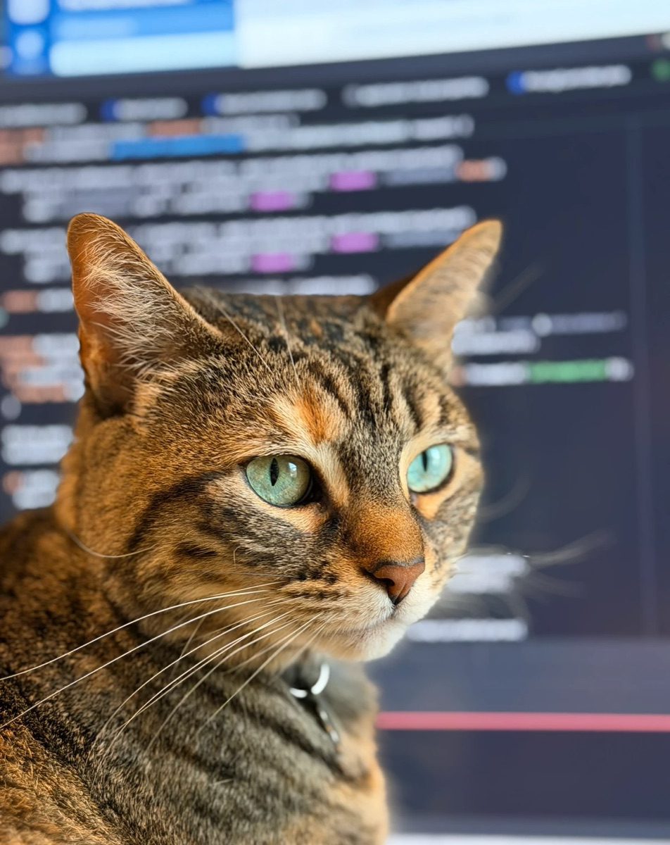 Pebbles, a brown tabby cat with green eyes, sitting in front of a computer screen full of code